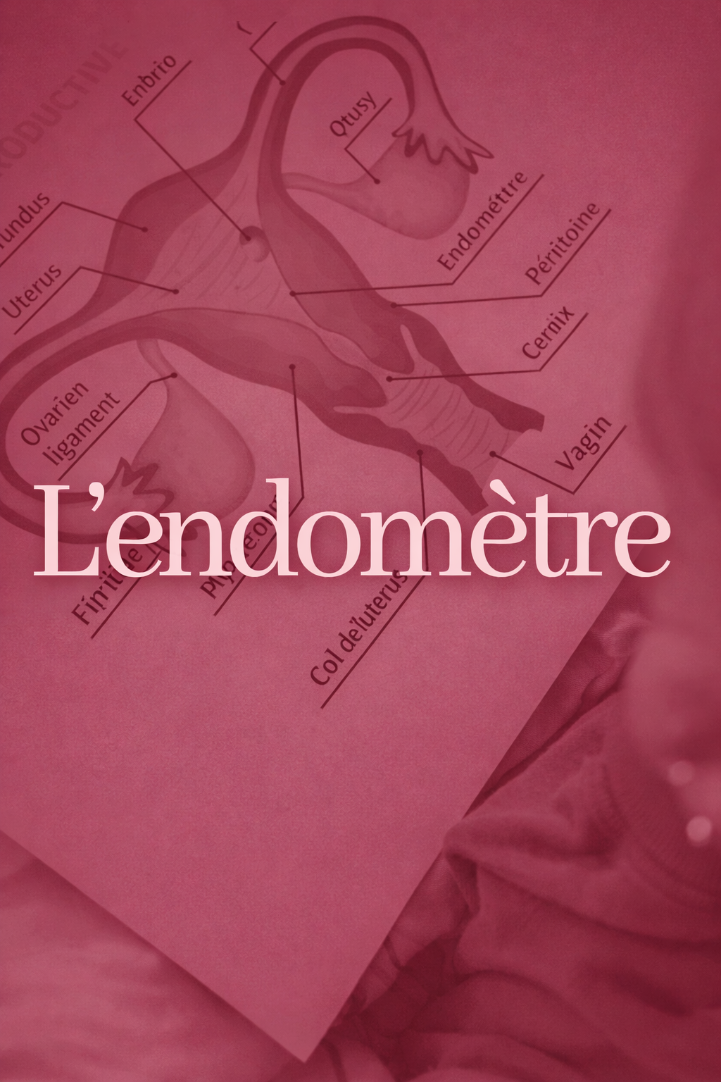 On parle d’endométriose, mais qu’est-ce que l’endomètre ?