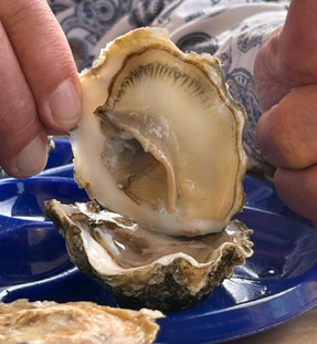 La poissonnerie « Coté Mer »
